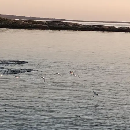 Sea Breeze House Apartament